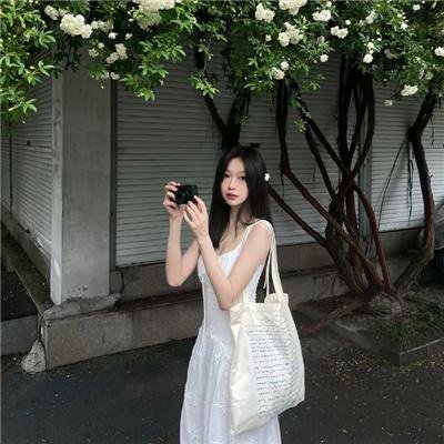 八犬传：东方八犬异闻